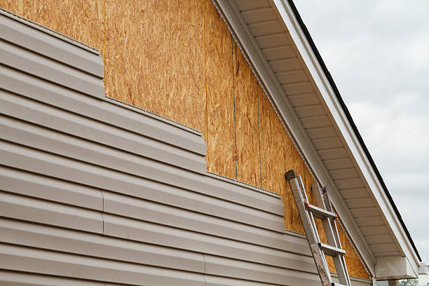 Professional Siding Repair technician working in Berthoud, CO